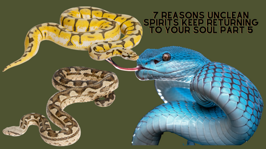 7 Reasons Unclean Spirits Keep Returning To Your Soul Part 5 #narcissist  #love #loveandfreedom