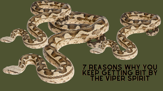 7 Reasons Why You Keep Getting Bit By the Viper Spirit